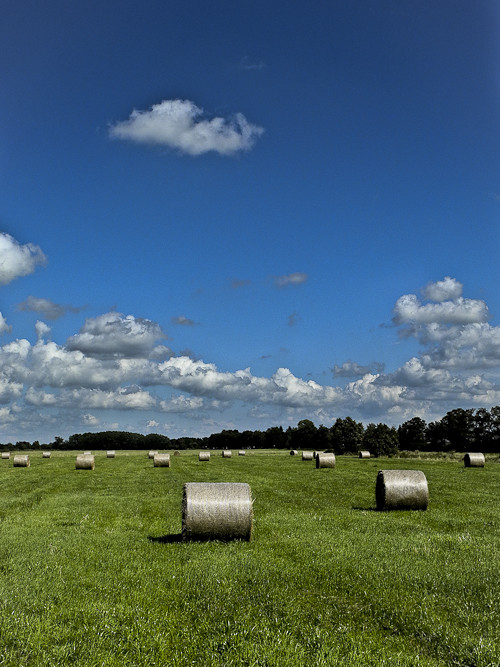 Tag 25 Ostfriesland meine Perle