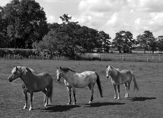 Tag 27 Ostfriesland meine Perle!