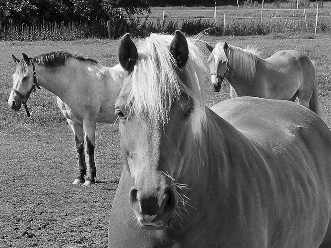 Tag 29 Ostfriesland meine Perle!