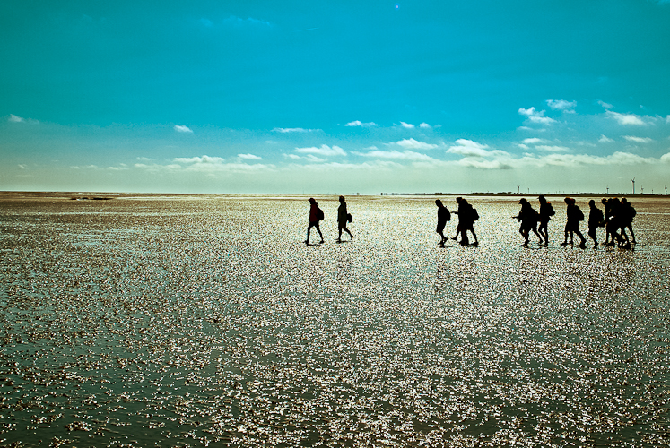 Tag 56 Wattenmeer II