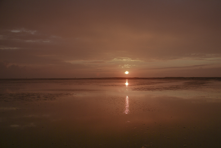 Tag 69 Wattenmeer III