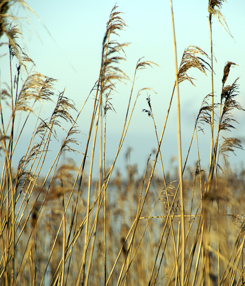 Tag 84 Herbststimmung am Meer