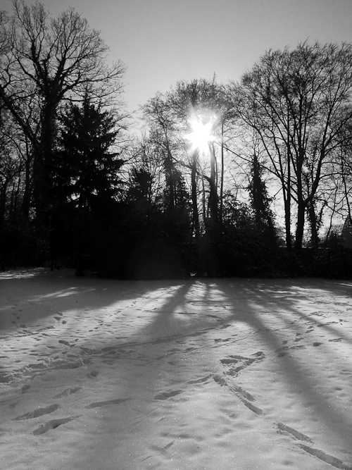 Tag 164 Winterlandschaft VI