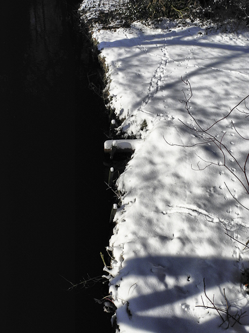 Tag 165 Winterlandschaft VII