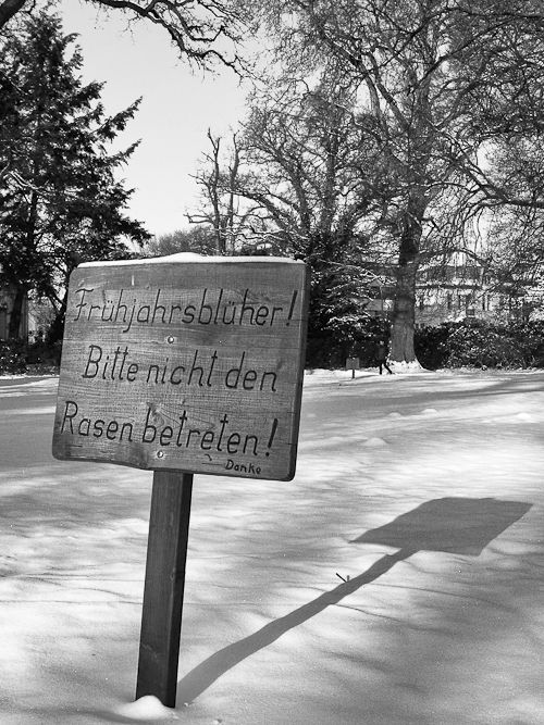 Tag 160 Winterlandschaft III