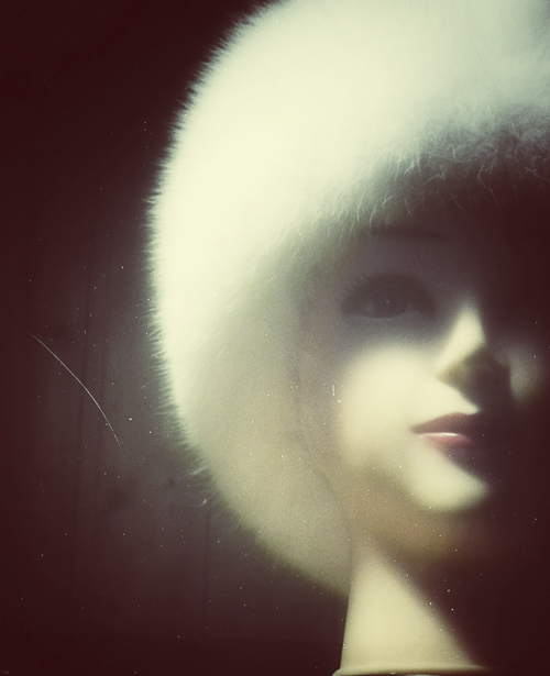 Tag 147 Schaufenster