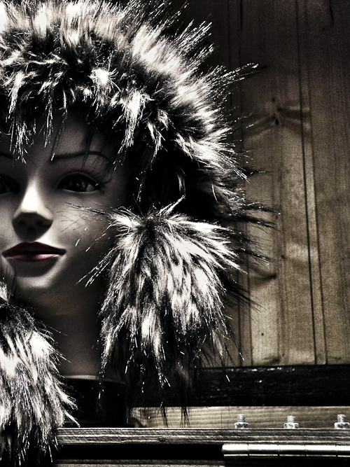 Tag 148 Schaufenster II