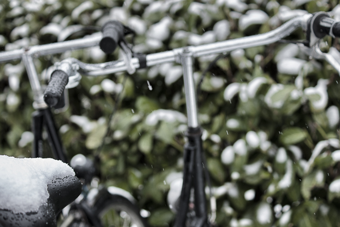 Tag 191 Schnee für einen Tag