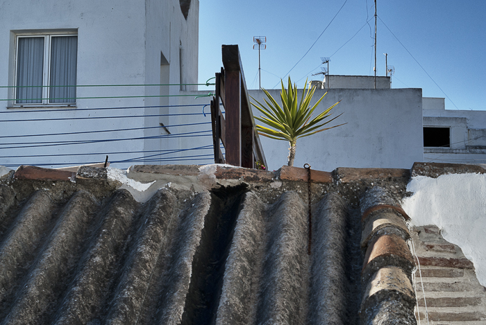 Tag 216 Andalusien VIII