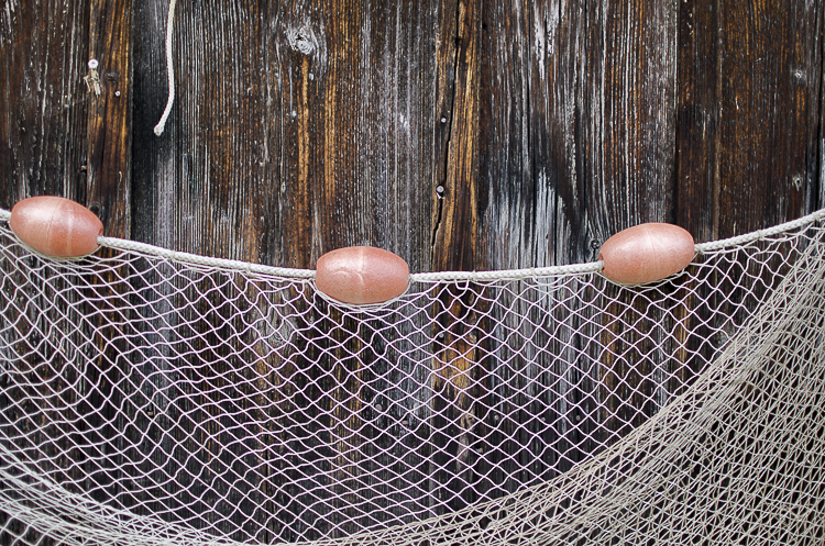 Tag 229 Ammersee III