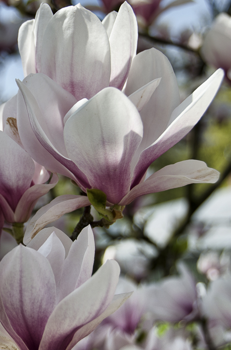 Tag 256 Schlosspark II