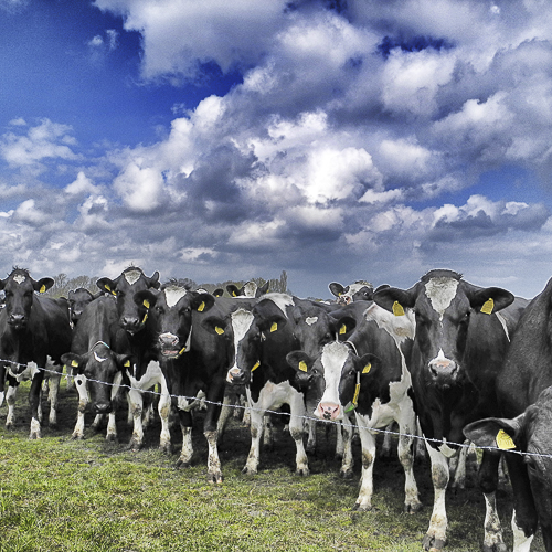 Tag 281 Der Sommer ist noch lang! III