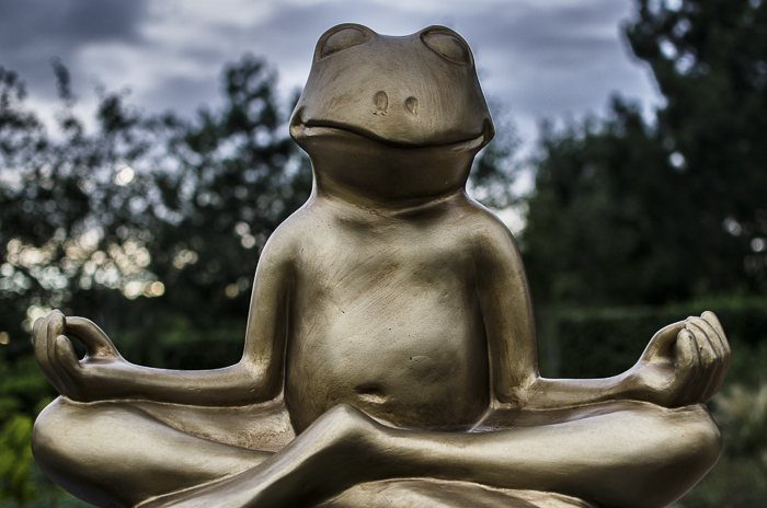 Tag 325 Sunset im Park der Gärten V