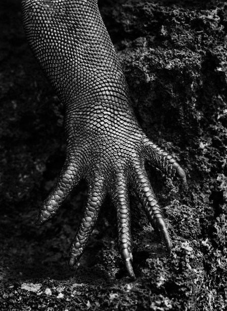 DAS_SALZ_DER_ERDE_15