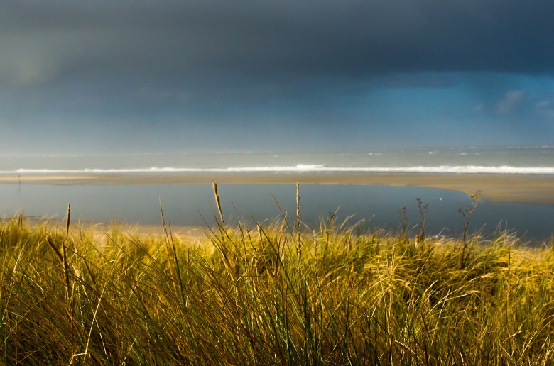 DSC_4274-Bearbeitet-3