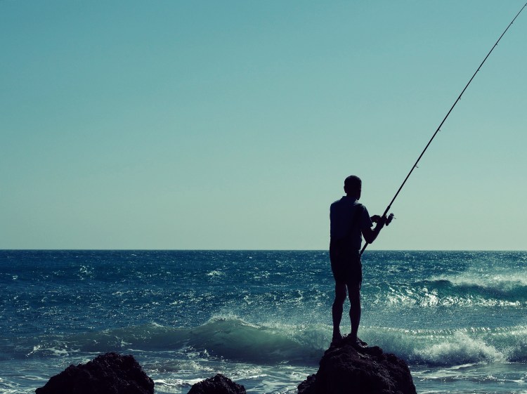 OLYMPUS DIGITAL CAMERA          Processed with VSCOcam with q6 preset